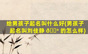 给男孩子起名叫什么好(男孩子起名叫刘佳静 💮 的怎么样)